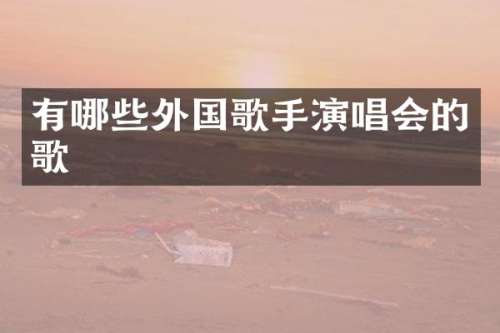 有哪些外国歌手演唱会的歌