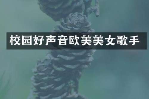 校园好声音欧美歌手
