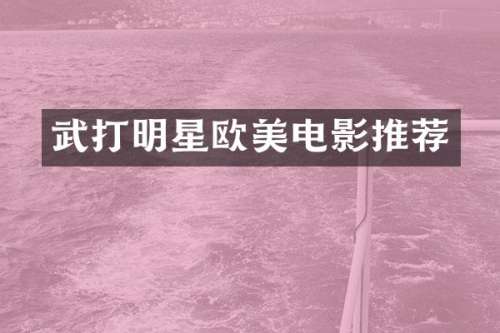 武打明星欧美电影推荐