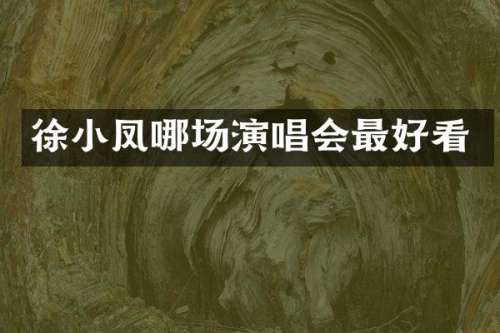 徐小凤哪场演唱会最好看