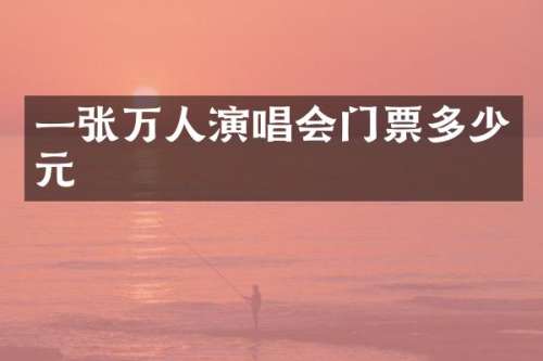 一张万人演唱会门票多少元