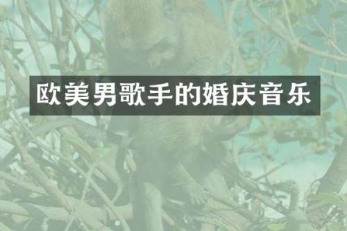 欧美男歌手的婚庆音乐