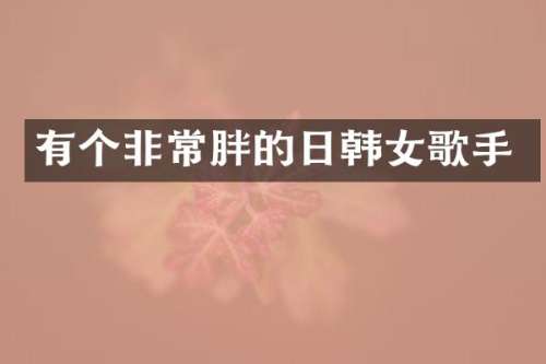 有个非常胖的日韩女歌手