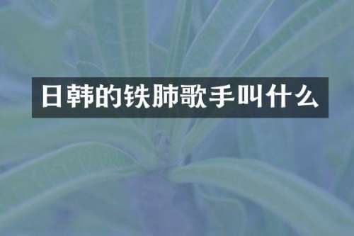日韩的铁肺歌手叫什么