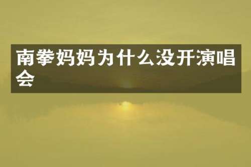 南拳妈妈为什么没开演唱会