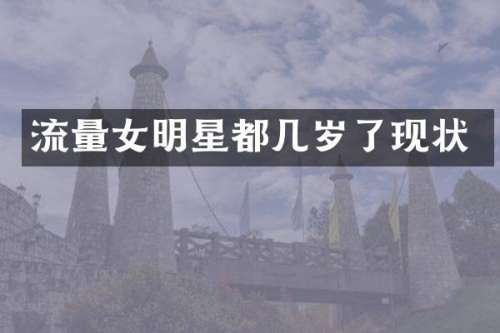流量女明星都几岁了现状