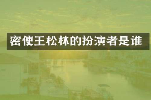 密使王松林的扮演者是谁