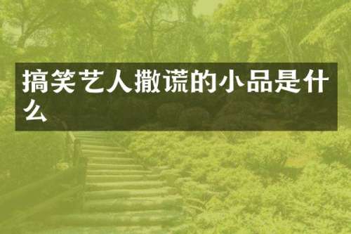 搞笑艺人撒谎的小品是什么
