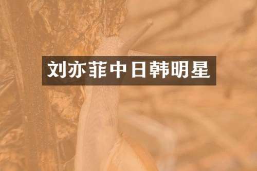 刘亦菲中日韩明星