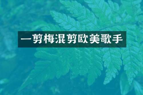 一剪梅混剪欧美歌手