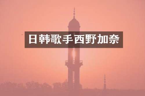 日韩歌手西野加奈