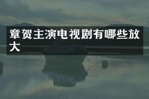 章贺主演电视剧有哪些放大