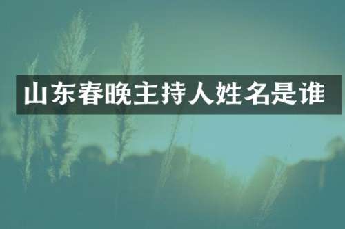 山东主持人姓名是谁