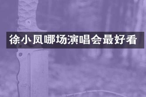 徐小凤哪场演唱会最好看