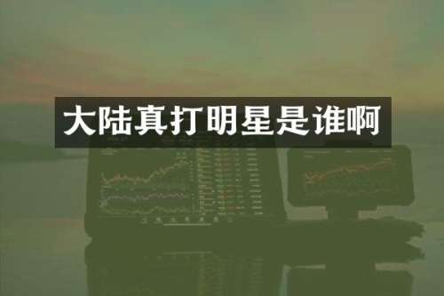 大陆真打明星是谁啊