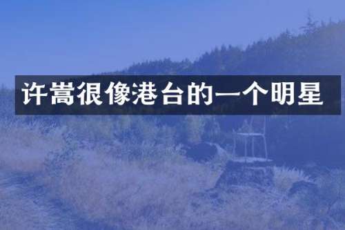 许嵩很像港台的一个明星