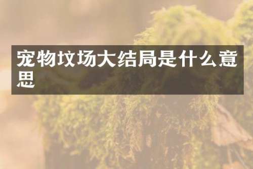 宠物坟场大结局是什么意思