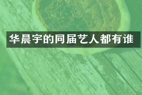 华晨宇的同届艺人都有谁