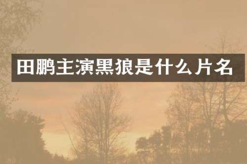 田鹏主演黑狼是什么片名