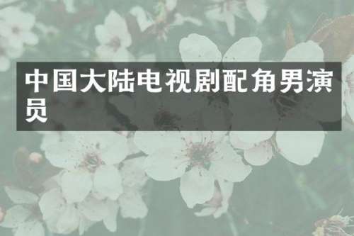 中国大陆电视剧配角男演员