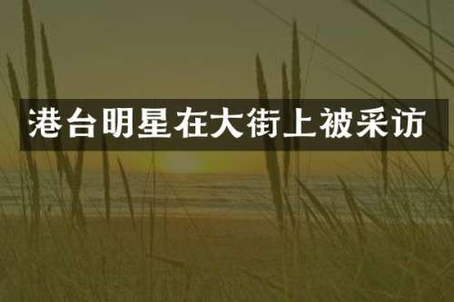 港台明星在大街上被采访