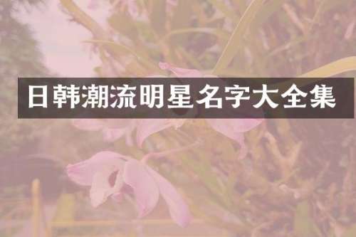 日韩潮流明星名字大全集