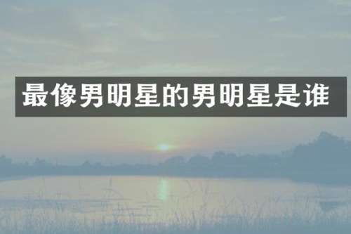 最像男明星的男明星是谁