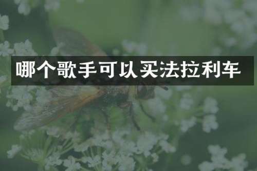 哪个歌手可以买法拉利车