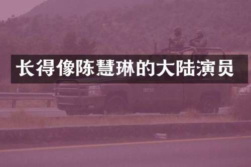 长得像陈慧琳的大陆演员