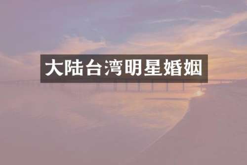 大陆台湾明星婚姻