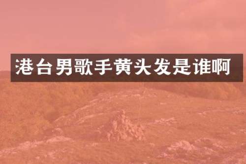 港台男歌手黄头发是谁啊