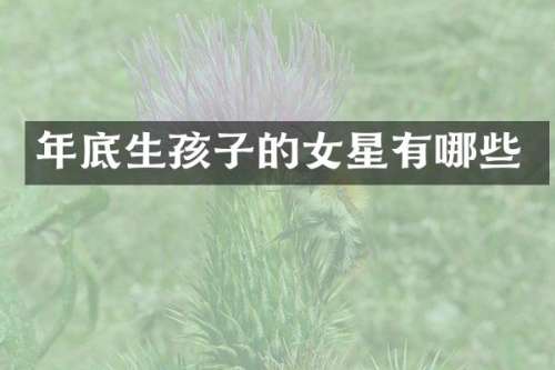 年底生孩子的女星有哪些
