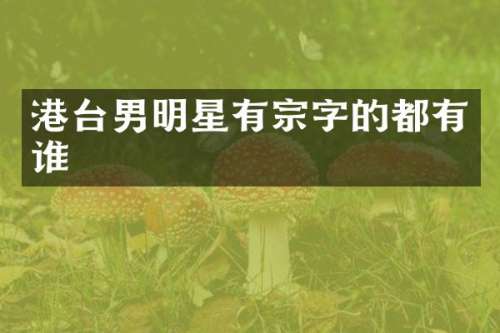 港台男明星有宗字的都有谁