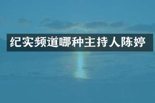 纪实频道哪种主持人陈婷
