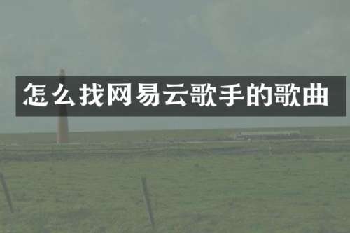 怎么找网易云歌手的歌曲