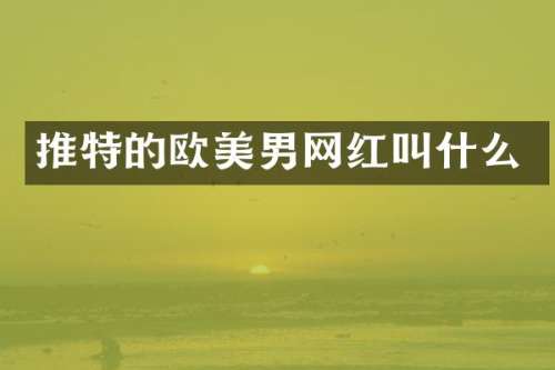 推特的欧美男网红叫什么