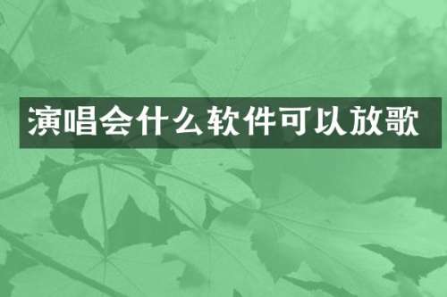 演唱会什么软件可以放歌