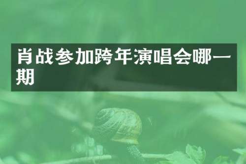 肖战参加跨年演唱会哪一期