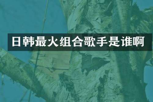 日韩最火组合歌手是谁啊