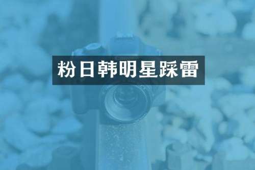粉日韩明星踩雷