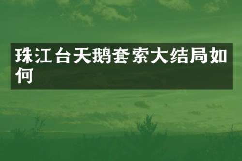 珠江台天鹅套索大结局如何