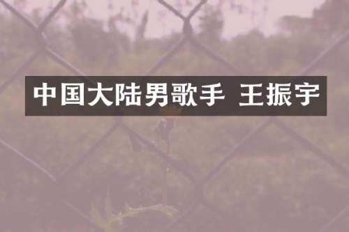 中国大陆男歌手 王振宇
