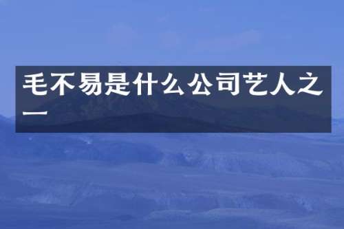毛不易是什么公司艺人之一