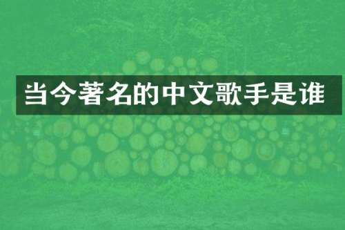 当今著名的中文歌手是谁