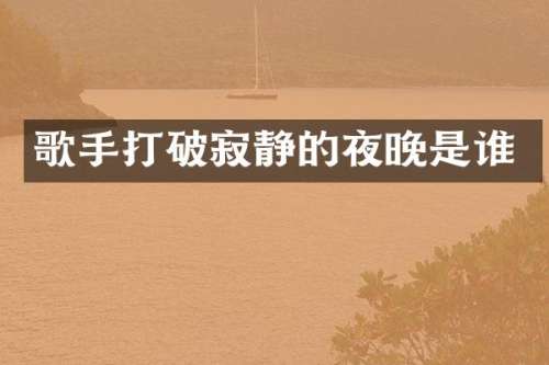 歌手打破寂静的夜晚是谁