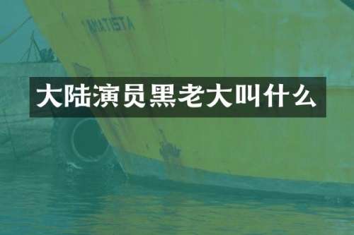大陆演员黑老大叫什么