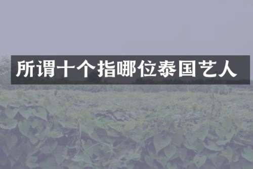 所谓十个指哪位泰国艺人