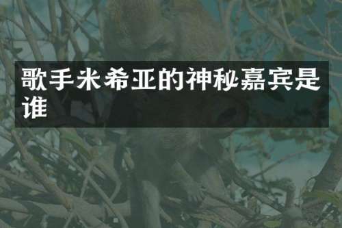 歌手米希亚的神秘嘉宾是谁