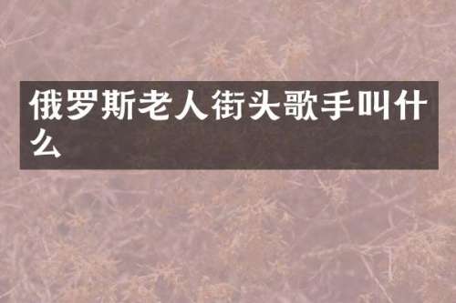 俄罗斯老人街头歌手叫什么