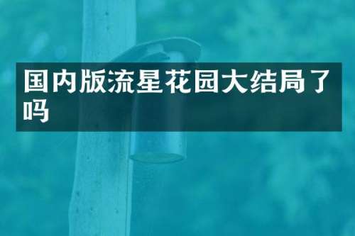 国内版流星花园大结局了吗